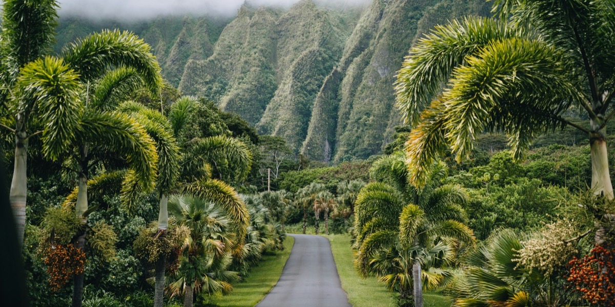 Hawaii — volcanic coastline and Pacific